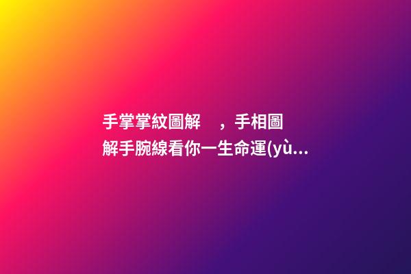 手掌掌紋圖解，手相圖解手腕線看你一生命運(yùn)